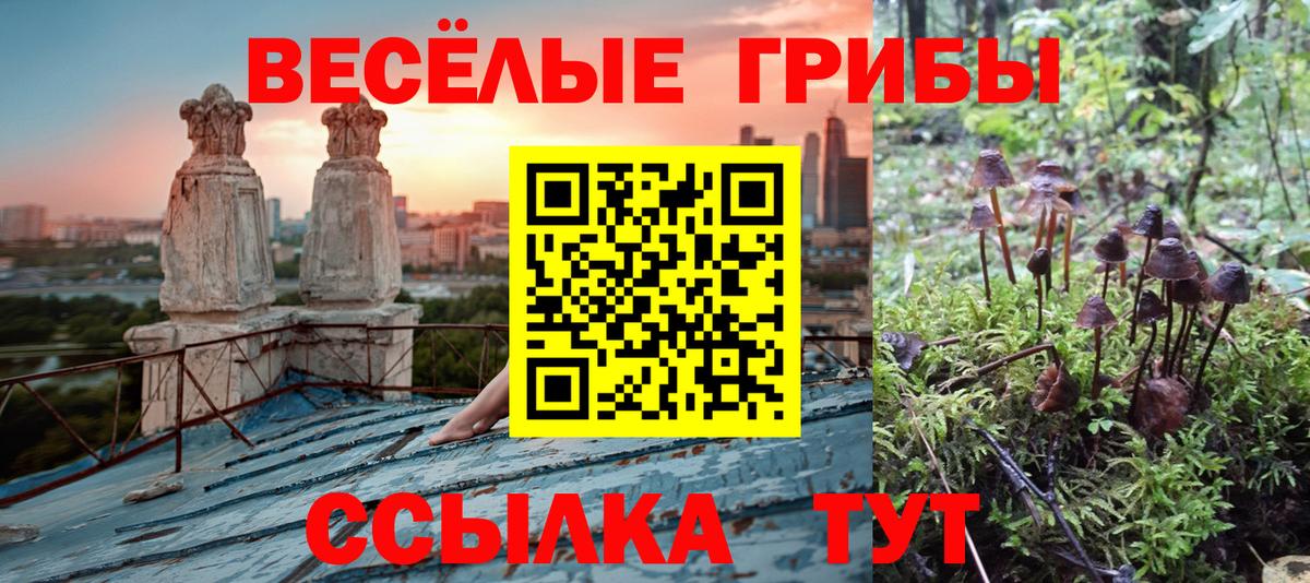Галлюциногенные грибы прущие грибы Петрозаводск